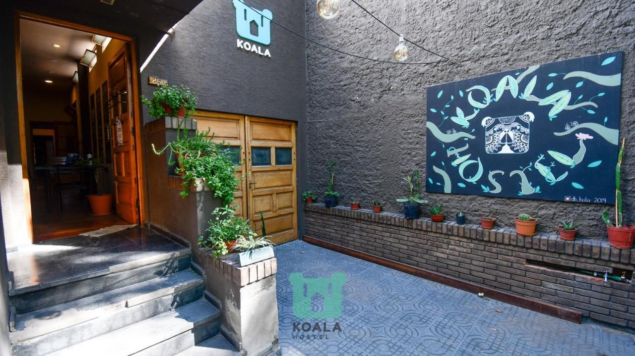 Koala Hostel Mendoza Eksteriør billede