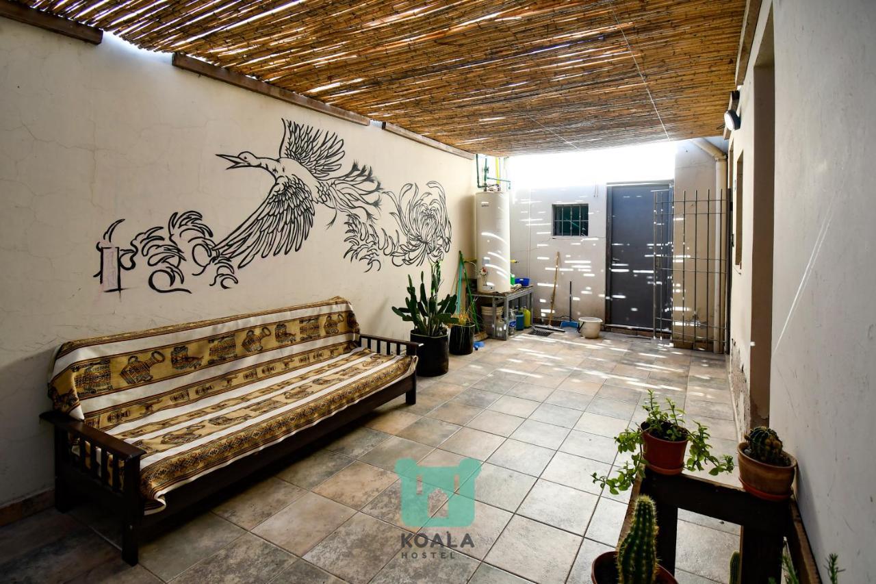 Koala Hostel Mendoza Eksteriør billede