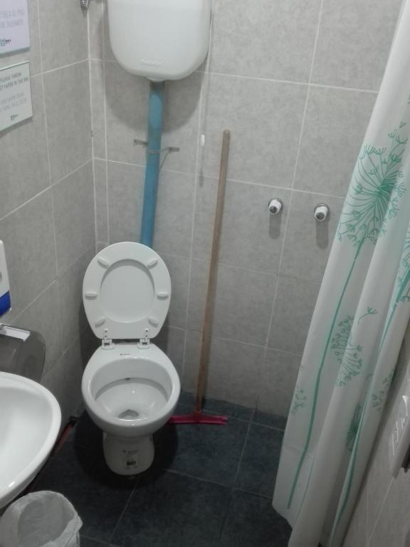 Koala Hostel Mendoza Værelse billede